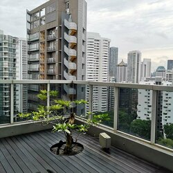 The Peak @ Cairnhill I (D9), Apartment #457431281